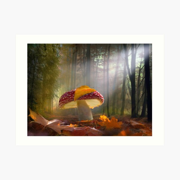 UnderCover Art Print