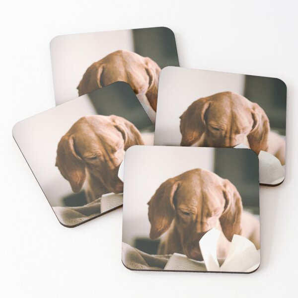 Item preview, Dog Distraction designed and sold by Benn-IA.