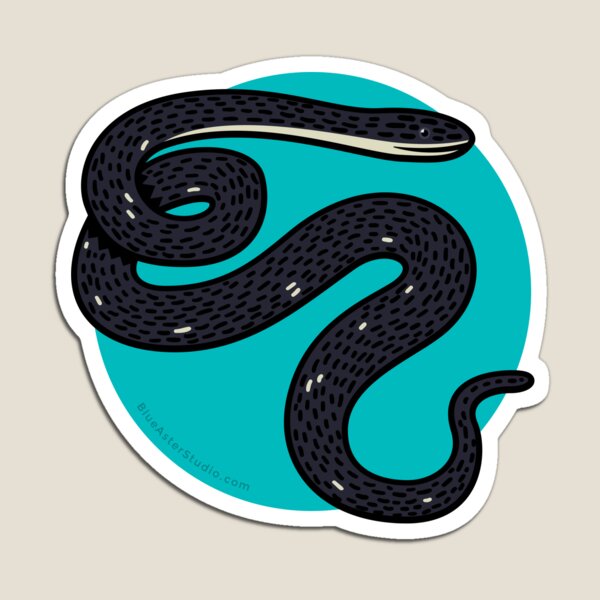 Black Rat Snake Magnet