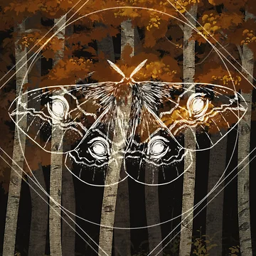 Artwork thumbnail, Moth by rapho