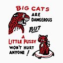 Original Vintage A Little Pussy Won't Hurt Anyone Mini Iron On Transfer Cat 