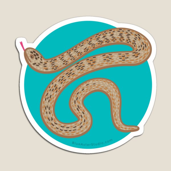 Brown Snake Magnet