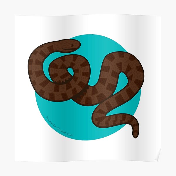 Brown Water Snake Poster