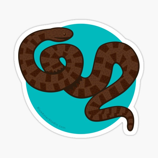 Brown Water Snake Sticker