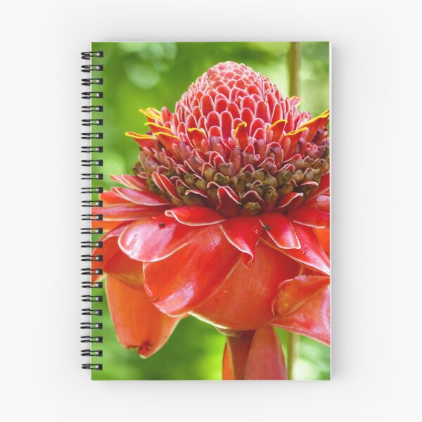 Item preview, Red Torch Ginger Flower designed and sold by Connie Pinson.
