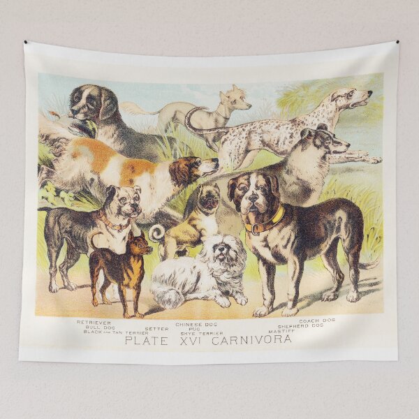 Item preview, Dog breeds Terrier Setter Pug Mastiff and more vintage print designed and sold by Vintage Designs +.