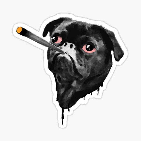 Stoned weed smoking pug banksy style Sticker