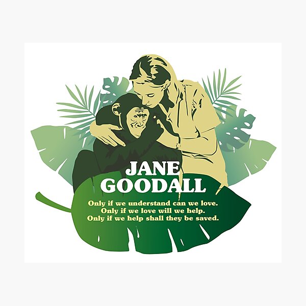 Jane Goodall, Jane Goodall quotes, “Only if we understand can we love. Only if we love will we help. Only if we help shall they be saved.” tropical leaf Photographic Print