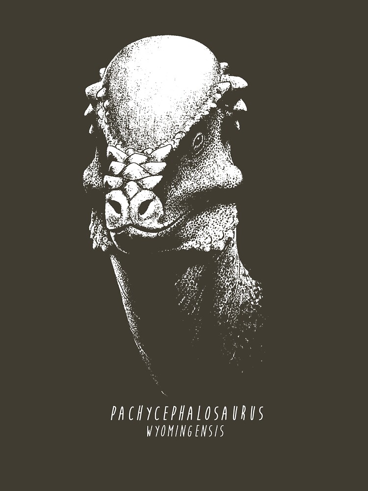 Pachycephalosaurus by FredWierum