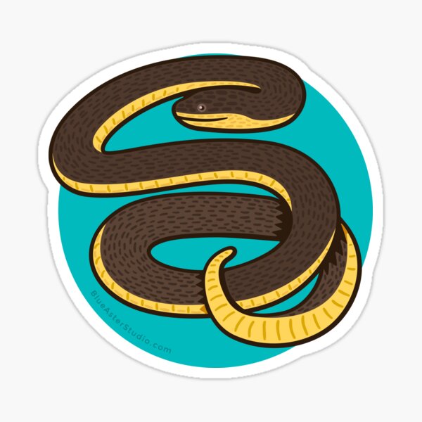 Plain Bellied Water Snake Sticker