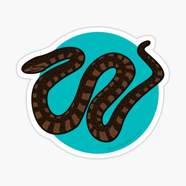 Southern Water Snake Sticker
