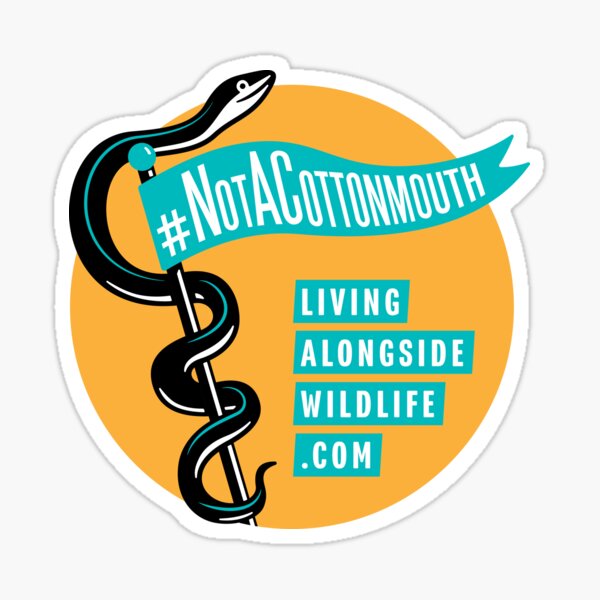 Not A Cottonmouth Sticker