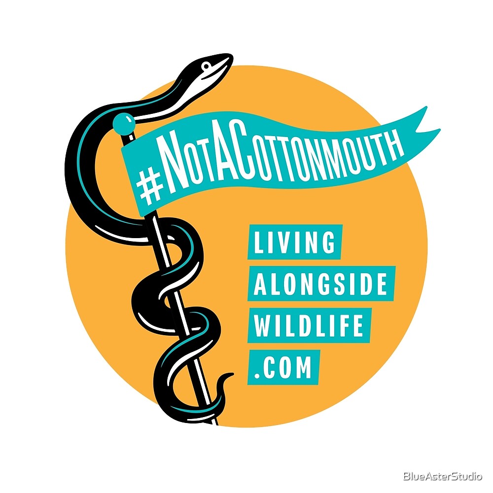 "Not A Cottonmouth" by BlueAsterStudio Redbubble