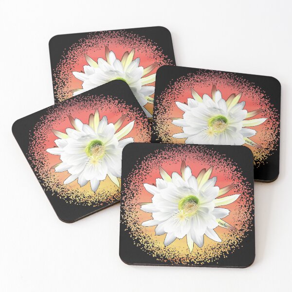 Item preview, Trichocereus Pachanoi Flowering designed and sold by Cactee.