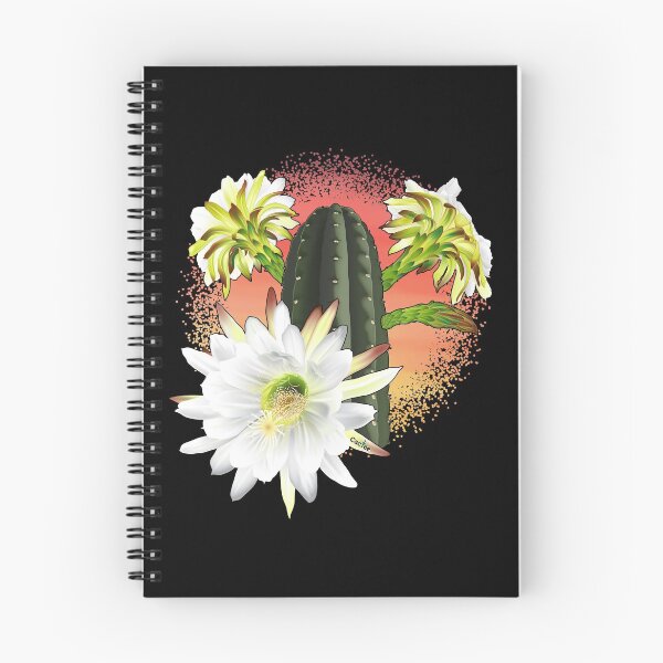 Item preview, Trichocereus Pachanoi Flowering designed and sold by Cactee.