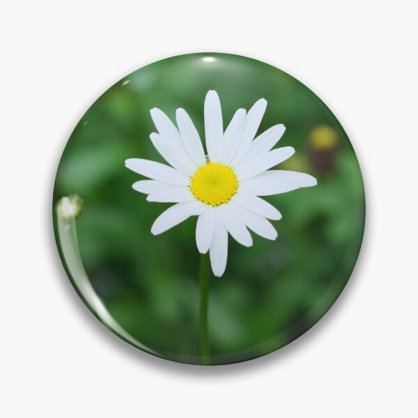 Item preview, Daisy trends designed and sold by Sagardeep Dasgupta.
