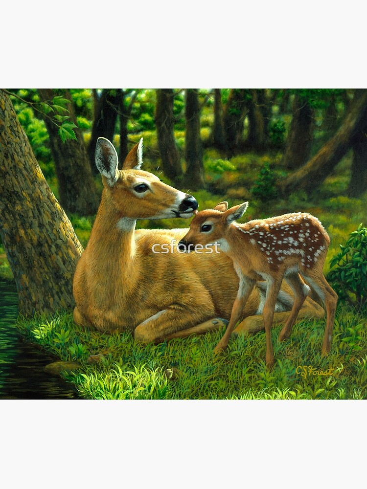 Art the River's Edge Gift for men White-tailed Deer Print Deer Art