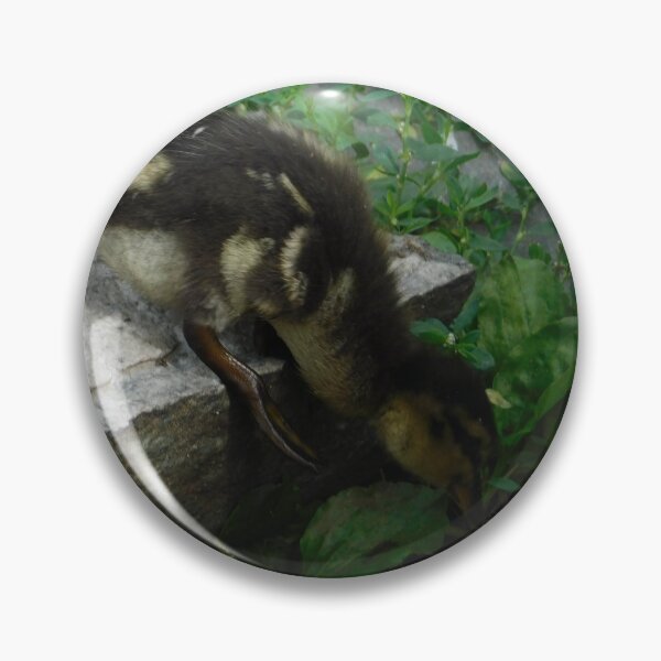 Item preview, Adventuring designed and sold by Izayo-Darke1.