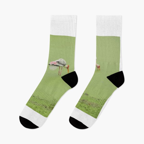 Item preview, Bird with a red, black and white head Stand on the mossy green ground near the river in the rain. waiting for food in forest. designed and sold by WP-7824.