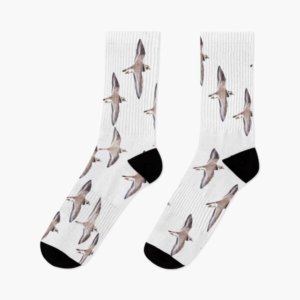 Item preview, Great Albatross Bird designed and sold by BlessingDirect.