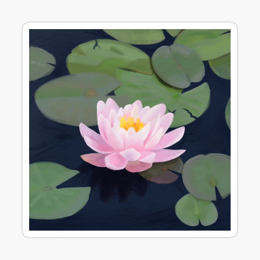 Lily Pad Pond Photographic Print By Kitteaa Redbubble