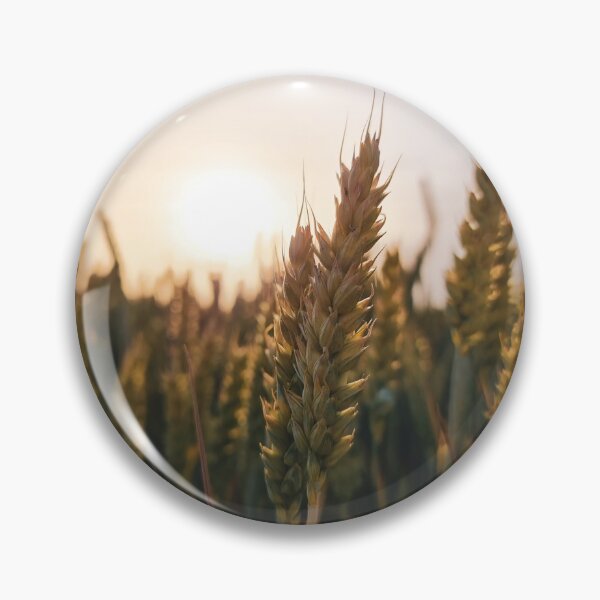 Item preview, Triticum aestivum - Wheat designed and sold by masked-ivan.