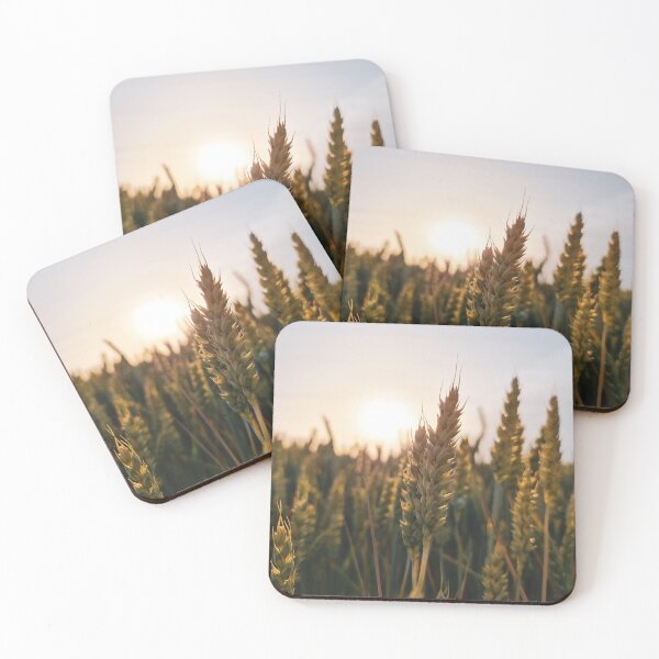 Item preview, Triticum aestivum - Wheat designed and sold by masked-ivan.