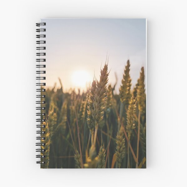 Item preview, Triticum aestivum - Wheat designed and sold by masked-ivan.