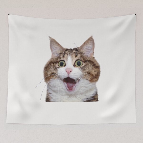 Item preview, Funny Cat memes  designed and sold by WaveOcean123.