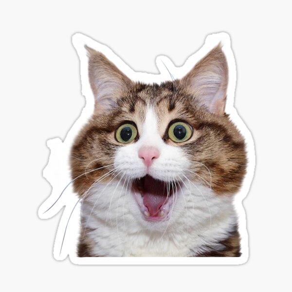 Item preview, Funny Cat memes  designed and sold by WaveOcean123.