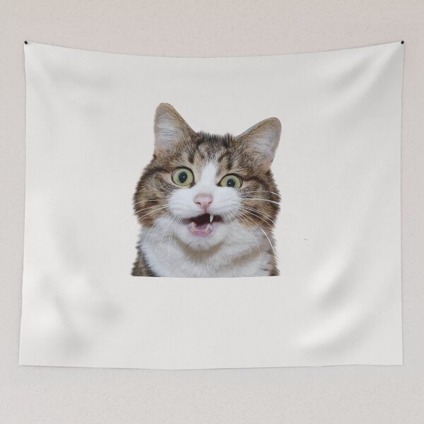 Item preview, Funny Cat memes 4 designed and sold by WaveOcean123.