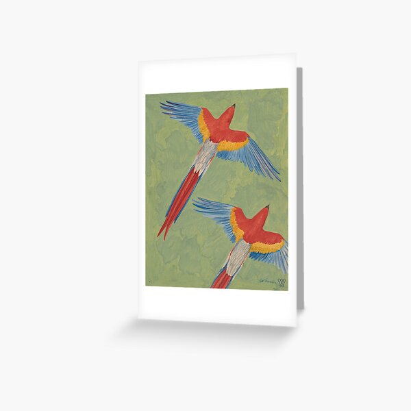 Macaws Greeting Card