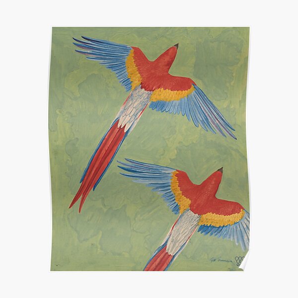 Macaws Poster