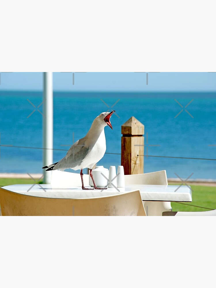 Disover SEAGULL - Best HD Seagull Bird High Definition Funny Seagull Beach Art Print Bath Mat