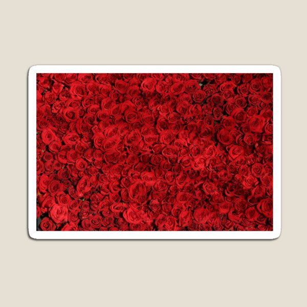 Aperçu de l'œuvre rose rouge créée et vendue par Sagardeep Dasgupta.