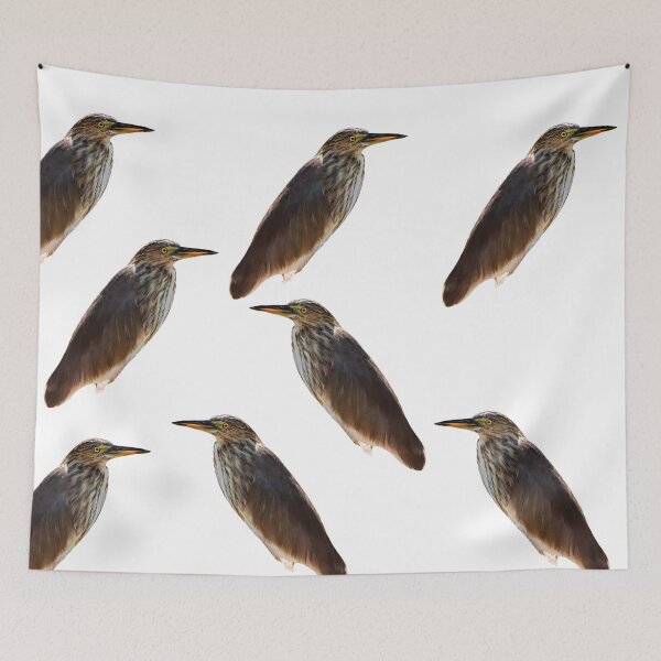 Item preview, American Bitterns designed and sold by BlessingDirect.
