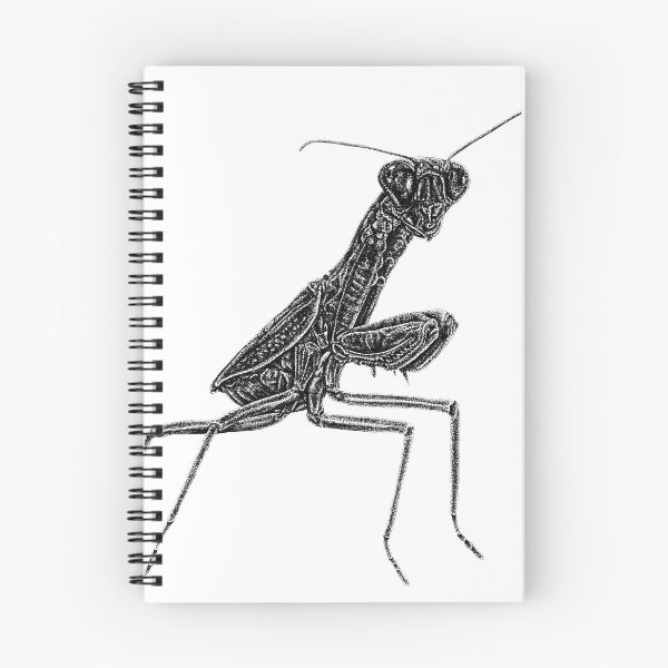 Item preview, Praying Mantis designed and sold by LorenDowding.