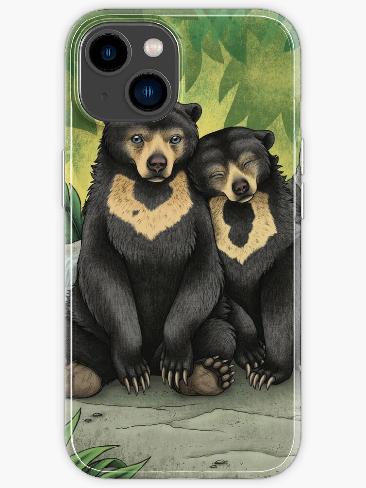 Sun Bears