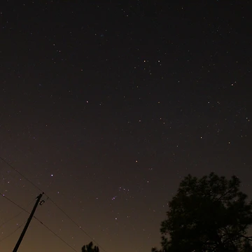 Artwork thumbnail, Swamp Stars by InhumanImaging