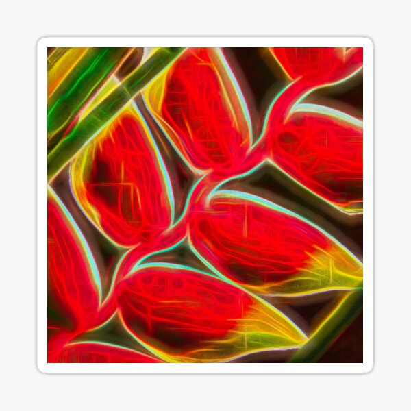 hängende hummerschere – heliconia rostrata – hanging lobster claw – オウムバナ科 ¦ Sticker