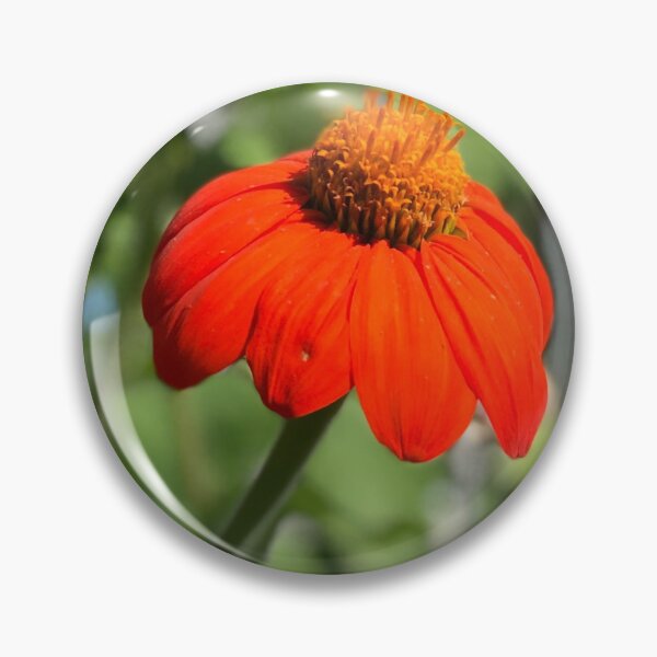 Item preview, Orange Dream designed and sold by DoreenMLanga.