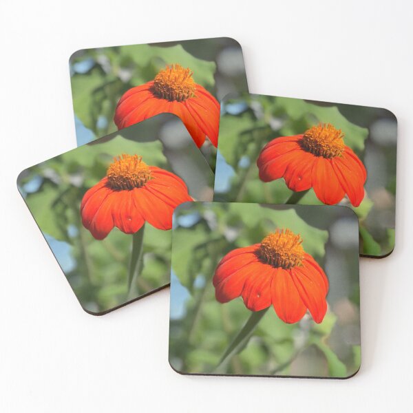 Item preview, Orange Dream designed and sold by DoreenMLanga.