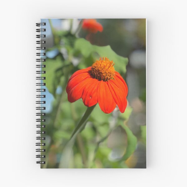 Item preview, Orange Dream designed and sold by DoreenMLanga.