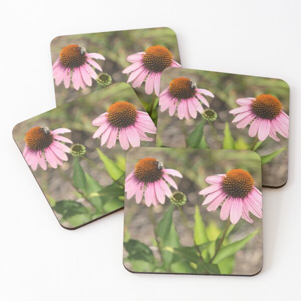 Item preview, North Carolina Native Wildflowers1 designed and sold by DoreenMLanga.