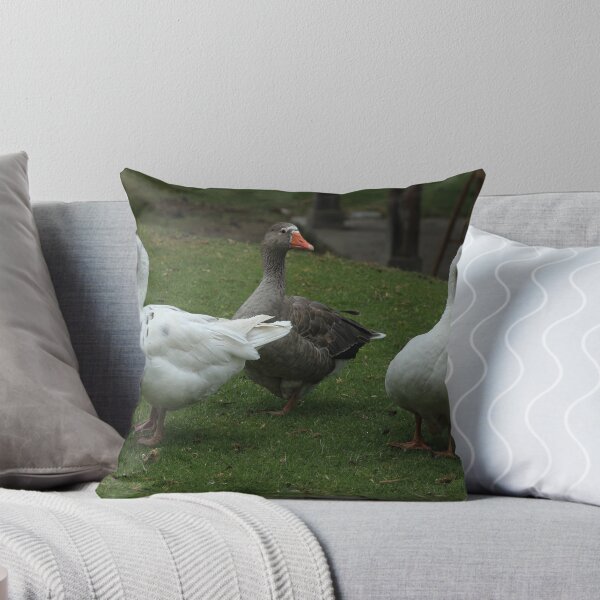 Item preview, Three Geese on a Farmyard designed and sold by rhamm.