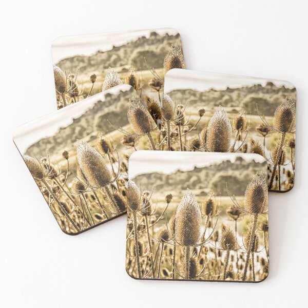 Item preview, Morning Teasel 2 designed and sold by Robert Alsop.