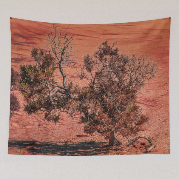 Item preview, Arid Shrub designed and sold by DVJPhotography.