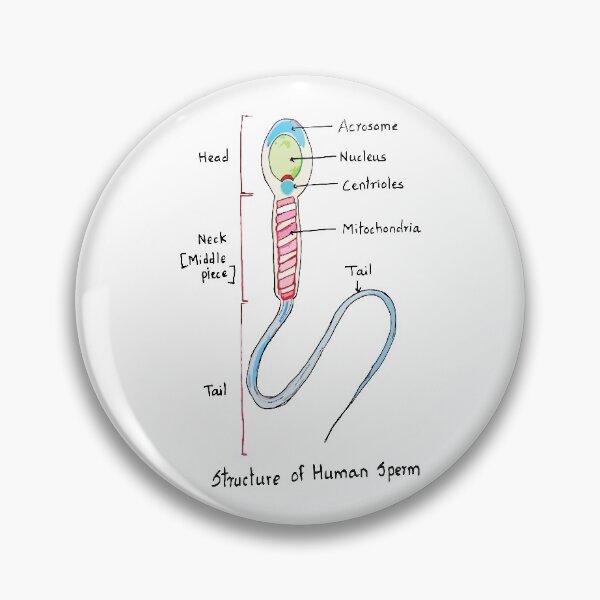 Item preview, Human Sperm Colourful Cute Accurate designed and sold by labstud.