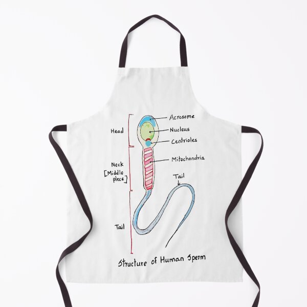 Item preview, Human Sperm Colourful Cute Accurate designed and sold by labstud.