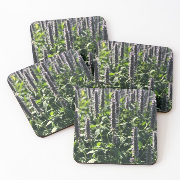 Item preview, Maine Wildflowers1 designed and sold by DoreenMLanga.